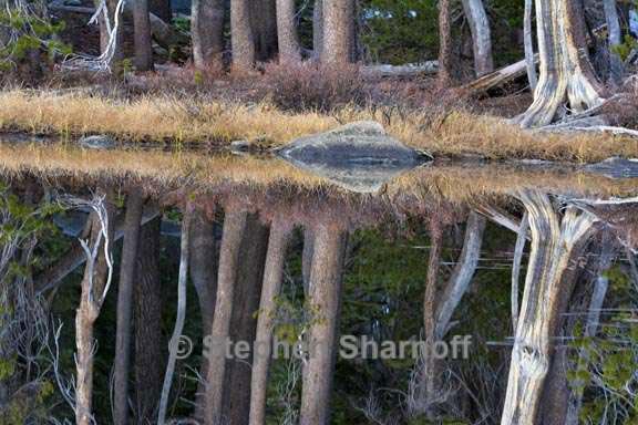 lakeshore reflections yosemite 1 graphic